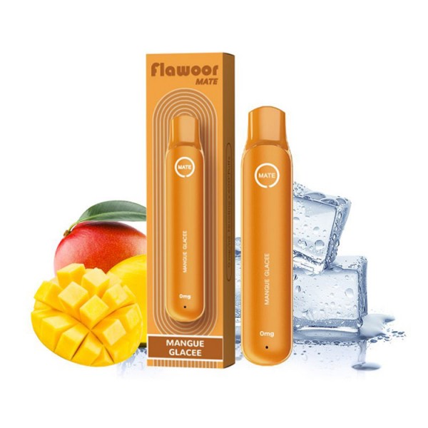 Flawoor Mate - Mangue Glacee 600 Puff Disposable Kit